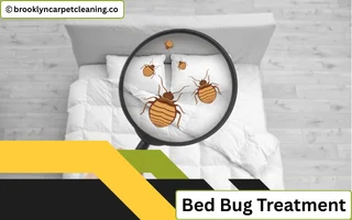Bed Bug Treatment