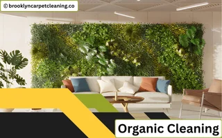 Organic Cleaning