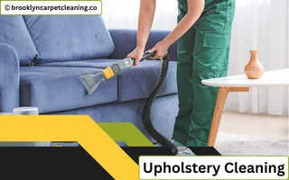 Upholstery Cleaning